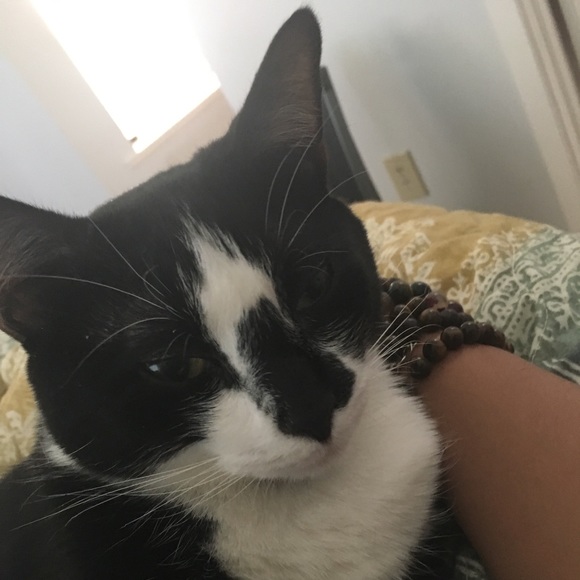 Meet your Posher, Briana - Picture 5 of 5